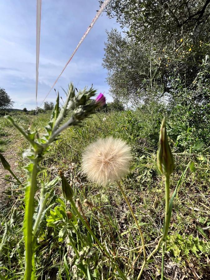La Romantica Congenies Eksteriør billede